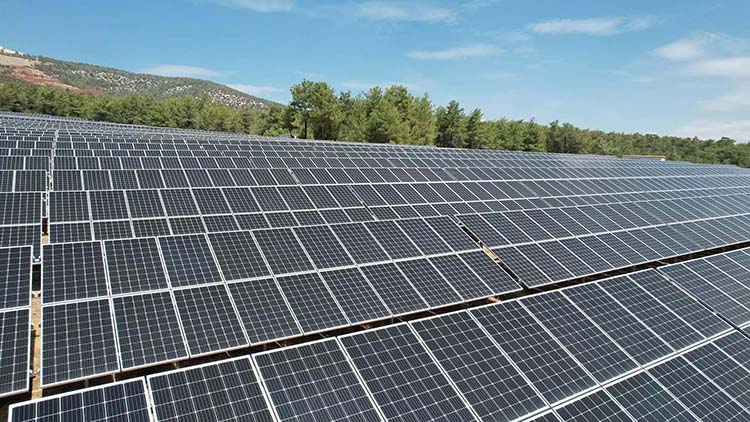 PM PANO 2023 MİDAS MİGROS GES PANOLARI
